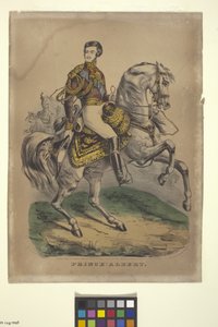 Książę Albert (litografia ręcznie kolorowana) autorstwa Nathaniel Currier