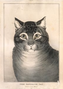 Ulubiony kot, 1838-46., 1838-46.