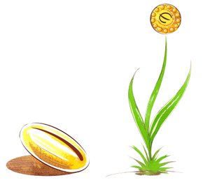 Nasiona i pędy - ilustracja alegorii finansowej autorstwa Neale Osborne