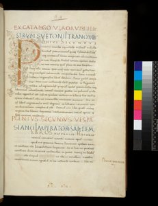 Pani 394,1. Pliniusz Starszy, Historia naturalis, f.1r. Iluminowany inicjał [P] z białą dekoracją pnącza (nieukończony), Neapol, poł. XV w., ok. 1442 (pergamin) autorstwa Neapolitan School