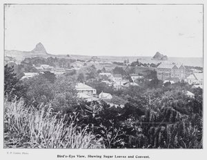 New Plymouth, Nowa Zelandia: widok z lotu ptaka, bochenki cukru i klasztor (zdjęcie czarno-białe) autorstwa New Zealand Photographer