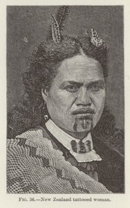 Wytatuowana kobieta z Nowej Zelandii autorstwa New Zealand School