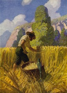 Ilustracja do Robinsona Crusoe (kolor lito) autorstwa Newell Convers (after) Wyeth