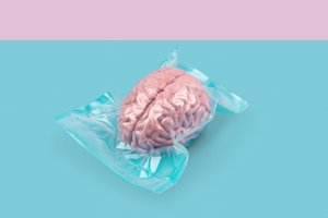 Brain, 2020 (zdjęcie)