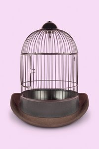 Mental Cage, 2020 (zdjęcie)