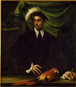 Portret młodego mężczyzny z papugą autorstwa Niccolò dell Abbate