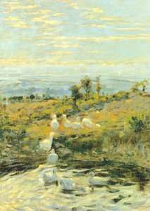 Kaczki o poranku, ok. 1892 r., autorstwa Niccolo Cannicci (1846-1906). Olej na płótnie, 57,5x40,5 cm.