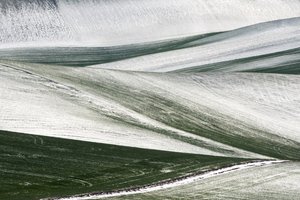  autorstwa Nicola Figliuolo