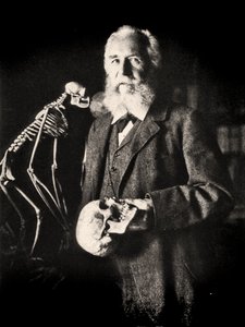 Portret Ernsta Haeckela obok szkieletu małpy, ok. 1860 (zdjęcie)