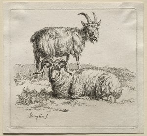 Animalia: Baran i Koza
