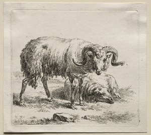 Animalia: Baran i owca autorstwa Nicolaes Berchem
