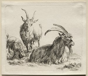 Animalia: trzy kozy autorstwa Nicolaes Berchem