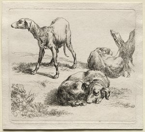 Animalia: trzy psy myśliwskie autorstwa Nicolaes Berchem