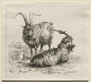 Animalia: Dwie Kozy autorstwa Nicolaes Berchem