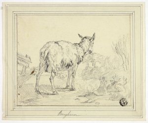 Koza autorstwa Nicolaes Berchem
