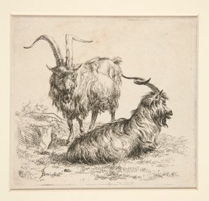 Kozy (od autorstwa Nicolaes Berchem
