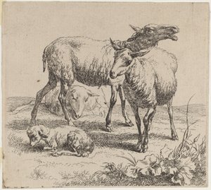 Trzy owce i baranek. autorstwa Nicolaes Berchem