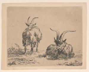 Dwie Kozy autorstwa Nicolaes Berchem