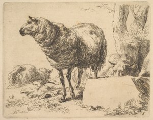 z Zestawu owiec. autorstwa Nicolaes Berchem
