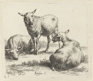 Osusz owce Schapen (tytuł serii) Zwierzęta ożywione i wydrukowane wodą na mocne powietrze przez Pracownię i Sztuka Nicolai Berchema (tytuł serii) autorstwa Nicolaes Pietersz Berchem