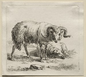 Baran i owca. autorstwa Nicolaes Pietersz. Berchem