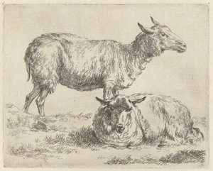 Staand en liggend schaap Schapen (tytuł serii) Zwierzęta ożywione i wydrukowane w wodzie mocnym powietrzem przez Pracownię i Sztuka Nicolai Berchem (tytuł serii) autorstwa Nicolaes Pietersz Berchem
