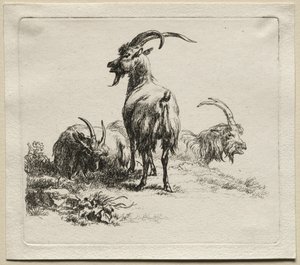 Trzy kozy. autorstwa Nicolaes Pietersz. Berchem