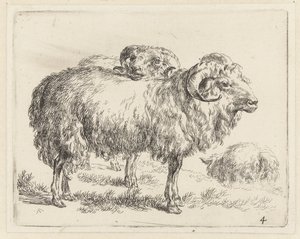 Twee rammen en een schaap Schapen (tytuł serii) Zwierzęta ożywione i wydrukowane w wodzie mocnym powietrzem przez Pracownię i Sztuka Nicolai Berchem (tytuł serii)