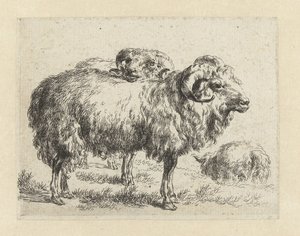 Twee rammen en een schaap Schapen (tytuł serii) Zwierzęta ożywione i wydrukowane w wodzie mocnym powietrzem przez Pracownię i Sztuka Nicolai Berchem (tytuł serii) autorstwa Nicolaes Pietersz Berchem