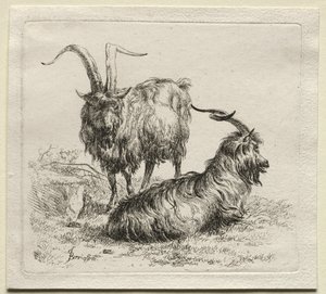 Dwie kozy. autorstwa Nicolaes Pietersz. Berchem