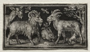 Kozy i zając, 1594. autorstwa Nicolaes de Bruyn