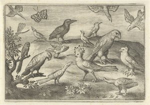 Chmiel i inne ptaki Ptaki i owady (tytuł serii) autorstwa Nicolaes de Bruyn