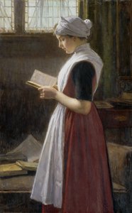 Sierota z Amsterdamu autorstwa Nicolaes van der Waay