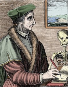 Jean Fernel (1497-1558), francuski astronom, matematyk i lekarz.