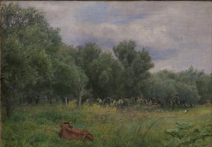 Wierzby na łące pod Nysø autorstwa Niels Skovgaard