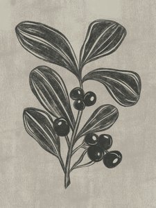 Botaniczny szkic jagód autorstwa Nikita Jariwala