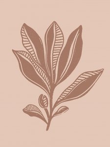Naturalny rysunek botaniczny autorstwa Nikita Jariwala