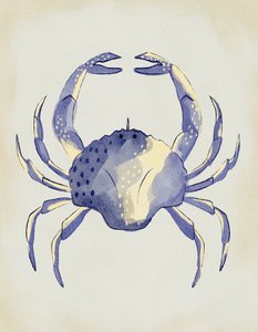 Akwarelowy niebieski krab autorstwa Nikita Jariwala