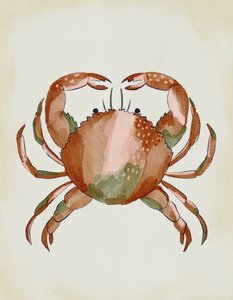 Krab namalowany akwarelą autorstwa Nikita Jariwala