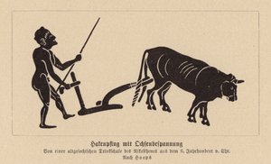Starożytny grecki pług ciągnięty przez woły (litografia) autorstwa Nikosthenes