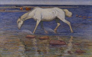 Na kamienistym gruncie autorstwa Nils Kreuger
