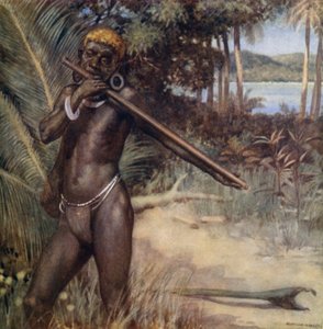 Solomon Islander grający na „Ivivu” lub flecie (kolor lito) autorstwa Norman Hardy