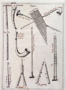 Instrumenty dęte Strona z utworu „Trzy rodzaje instrumentów muzycznych” o dawnych instrumentach autorstwa Francesco Bianchiniego