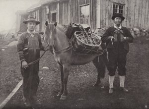Saetersdalen Highlanders z jucznym koniem autorstwa Norwegian Photographer