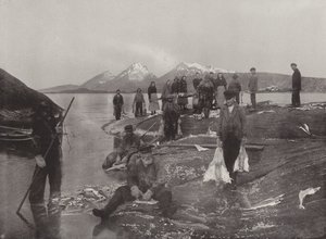 Mycie Klip-ryby autorstwa Norwegian Photographer