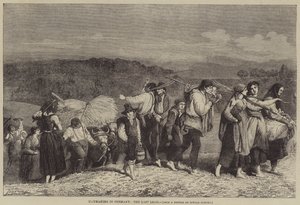 Sianokosy w Niemczech, ostatni ładunek autorstwa O.A. Sickert
