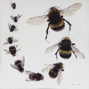 Bombus, 2015 (akryl na drewnie pokrytym gesso)