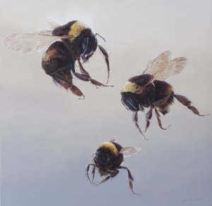 Bombus lot 1, 2011 (akryl na drewnie) autorstwa Odile Kidd