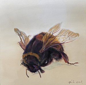 Bombus terrestris 10, 2013 (akryl na drewnie)