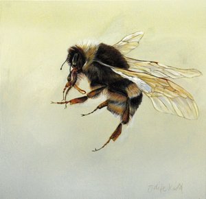 Bombus terrestris 4, 2011 (akryl na drewnie) autorstwa Odile Kidd